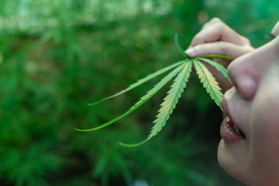 Slovenija na korak do legalizacije marihuane