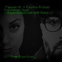 RootsInSession objavili novi remix za Taiwan MC ft. Paloma Pradal - 