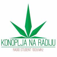 Konoplja na Radiju - Legalizacija kanabisa u BiH