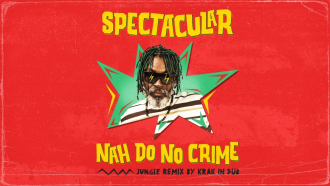 Spectacular - &quot;Nah Do No Crime&quot; (Krak In Dub remix)