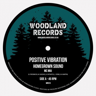 &quot;Positive Vibration&quot;, novi singl za Homegrown sound