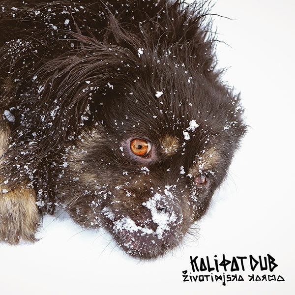 Objavljen novi album Kali Fat Duba &quot;Životinjska karma&quot;