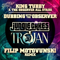 King Tubby & The Observer All Stars - 