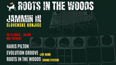 Evolution Groove &amp; Haris Pilton na Roots In The Woods sound system partiju