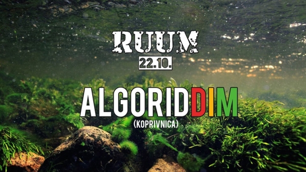 Reggae utorak: Algoriddim