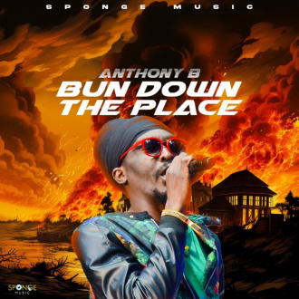 Anthony B - &quot;Bun Down the Place&quot;