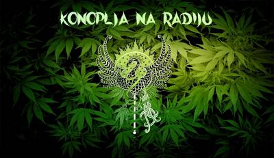 Konoplja na radiju - sintetička marihuana
