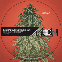 Radikal Guru & Dubbing Sun - 
